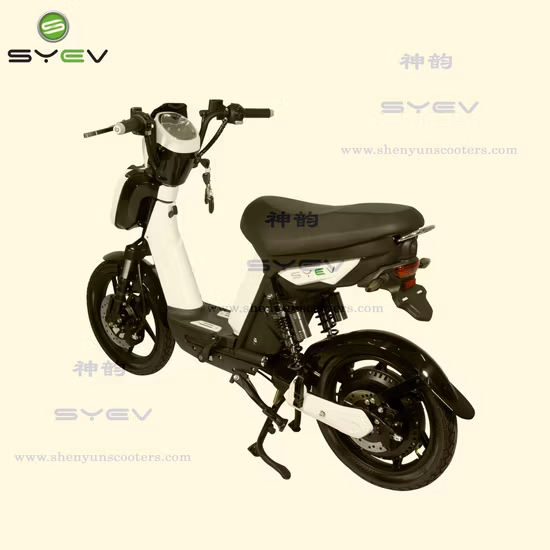 Powerful and Hot Sell Electric Scooter Lithium Battery/Lead Acid 800W Brushless DC Motor 40km/H