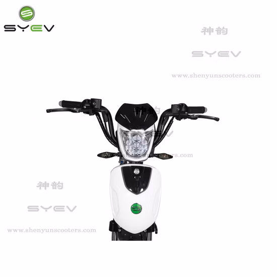 Powerful and Hot Sell Electric Scooter Lithium Battery/Lead Acid 800W Brushless DC Motor 40km/H